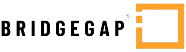 Bridgegap IT Services Bridgegap IT Services